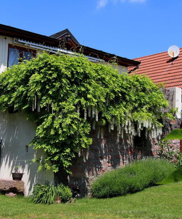 Vila Les 3 Ceps Bergholtz Exteriér fotografie
